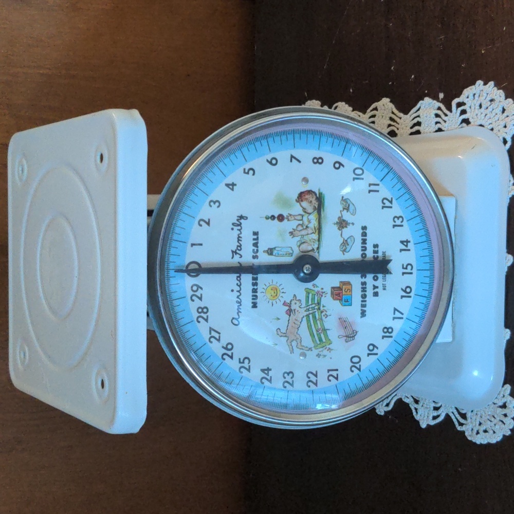 Vintage American Family Nursery Scale Rare